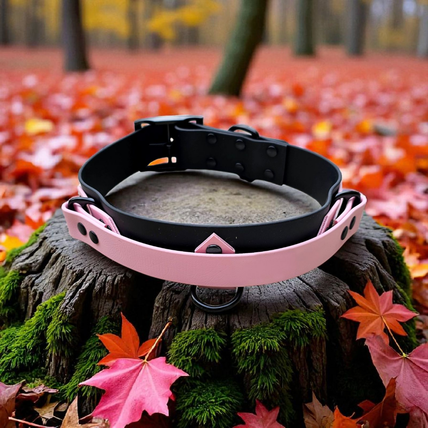 đŠŸAlpha Grip - Colliers avec poignĂ©e rĂ©tractableđș