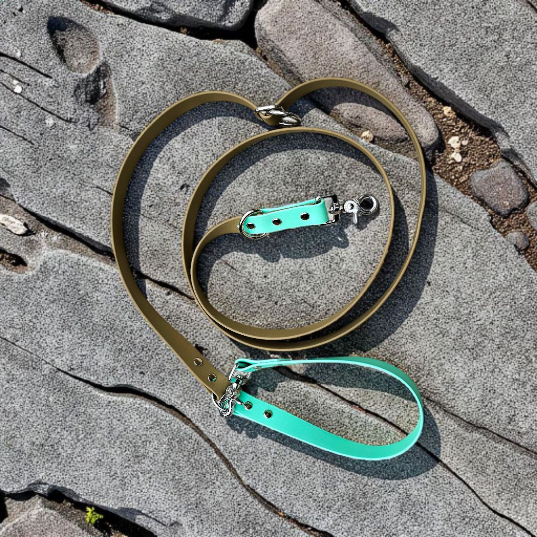 đ„FlexiâGang â Laisse MultipositionâĄ