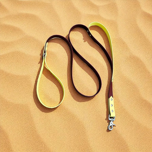 🐾Side by Side – Laisse 1m20 🌆