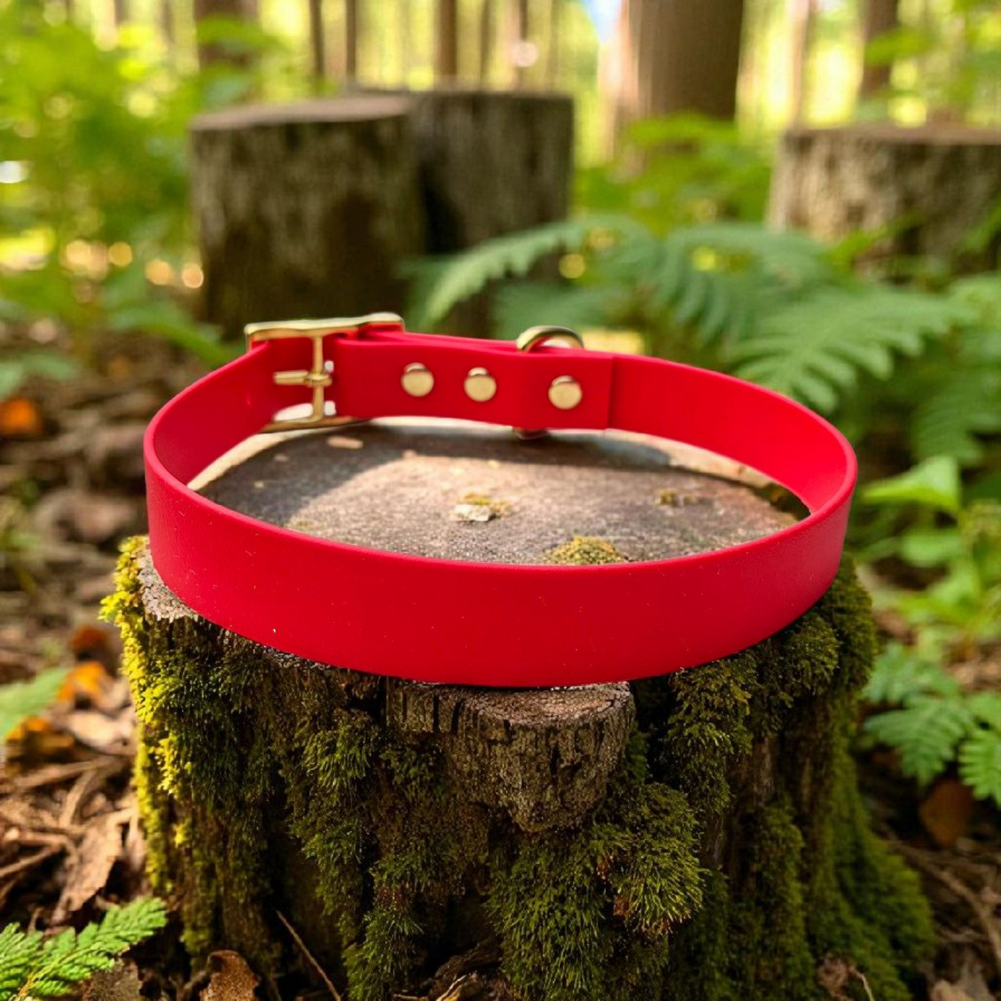 đPure - Colliers simple largeurđ«