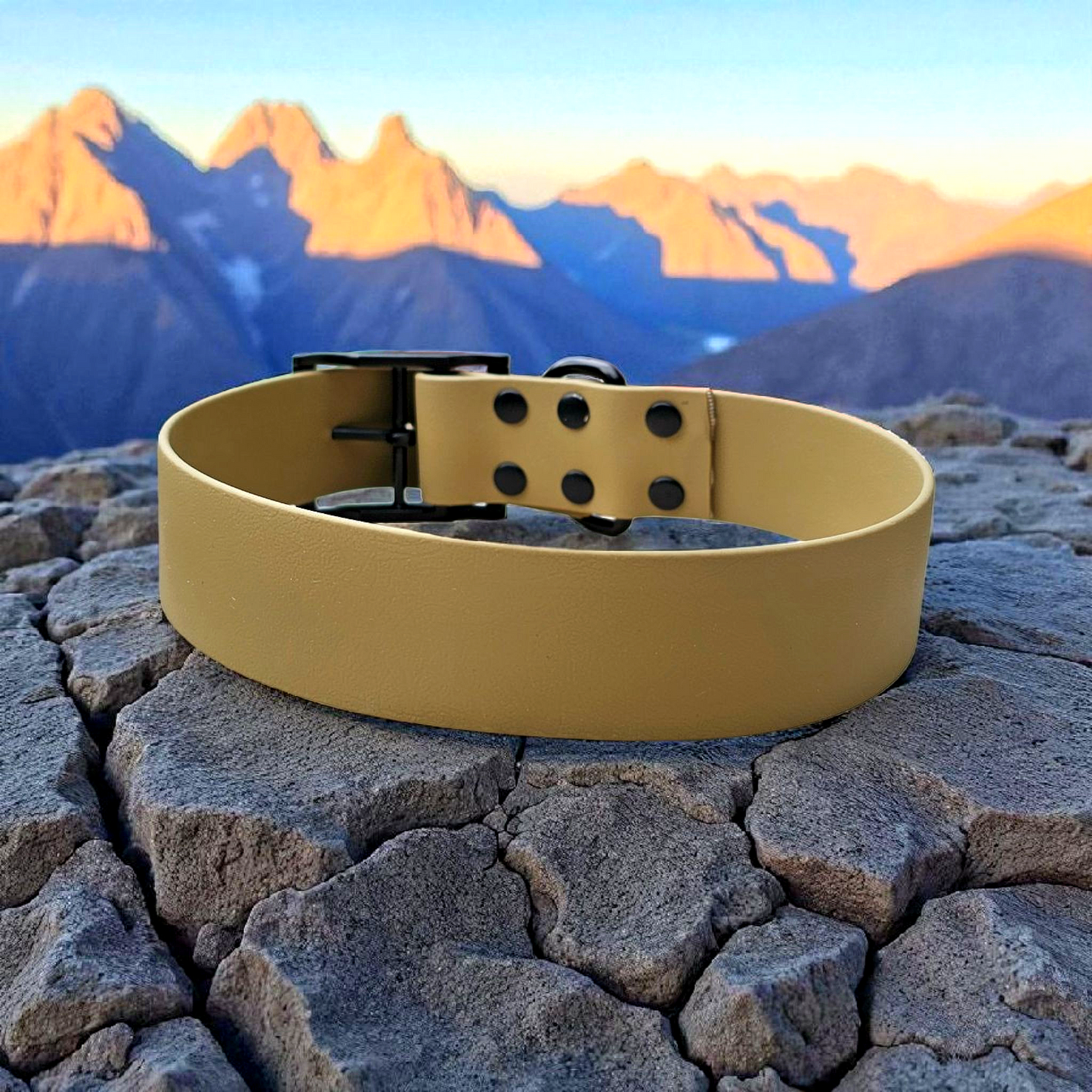 đPure - Colliers simple largeurđ«