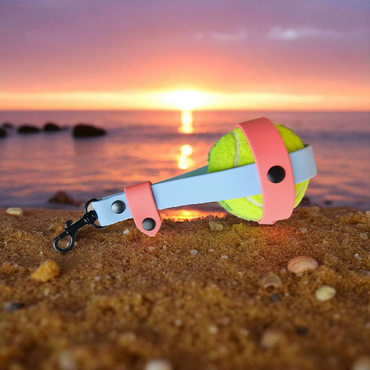 🎾 Ball’n’Go – Porte-balles à clipper partout  🐾