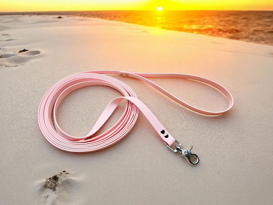 🌍 Liberty Line – longe 5 m / 8 m / 10 m 🐕