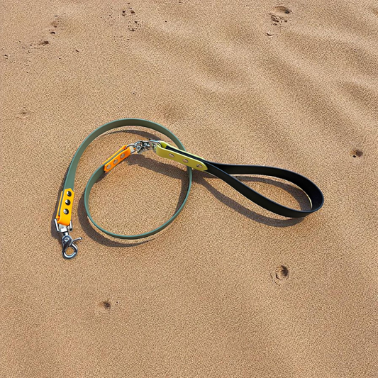 🐾 Switch’Gang – Laisse compatible avec poignée modulable 🎨