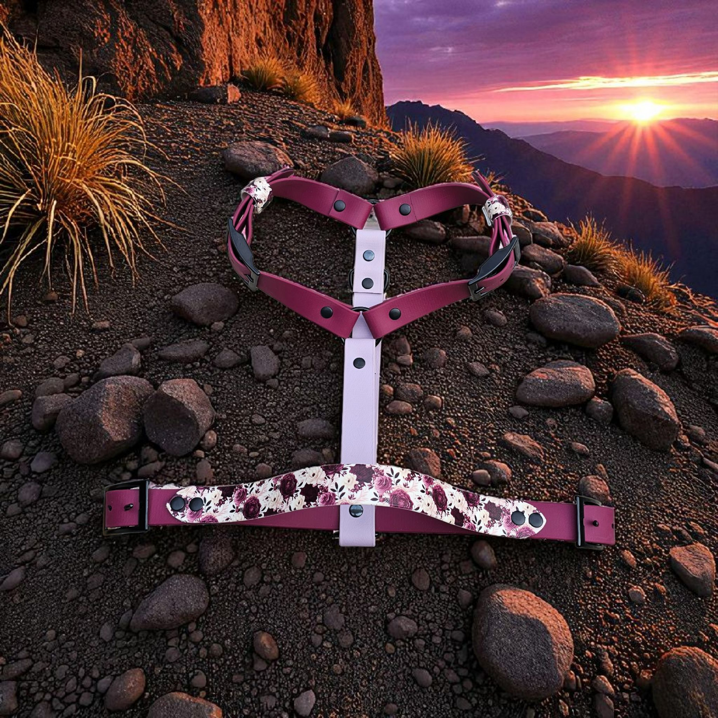 𩮠MorphoâLink â Harnais modulable đș