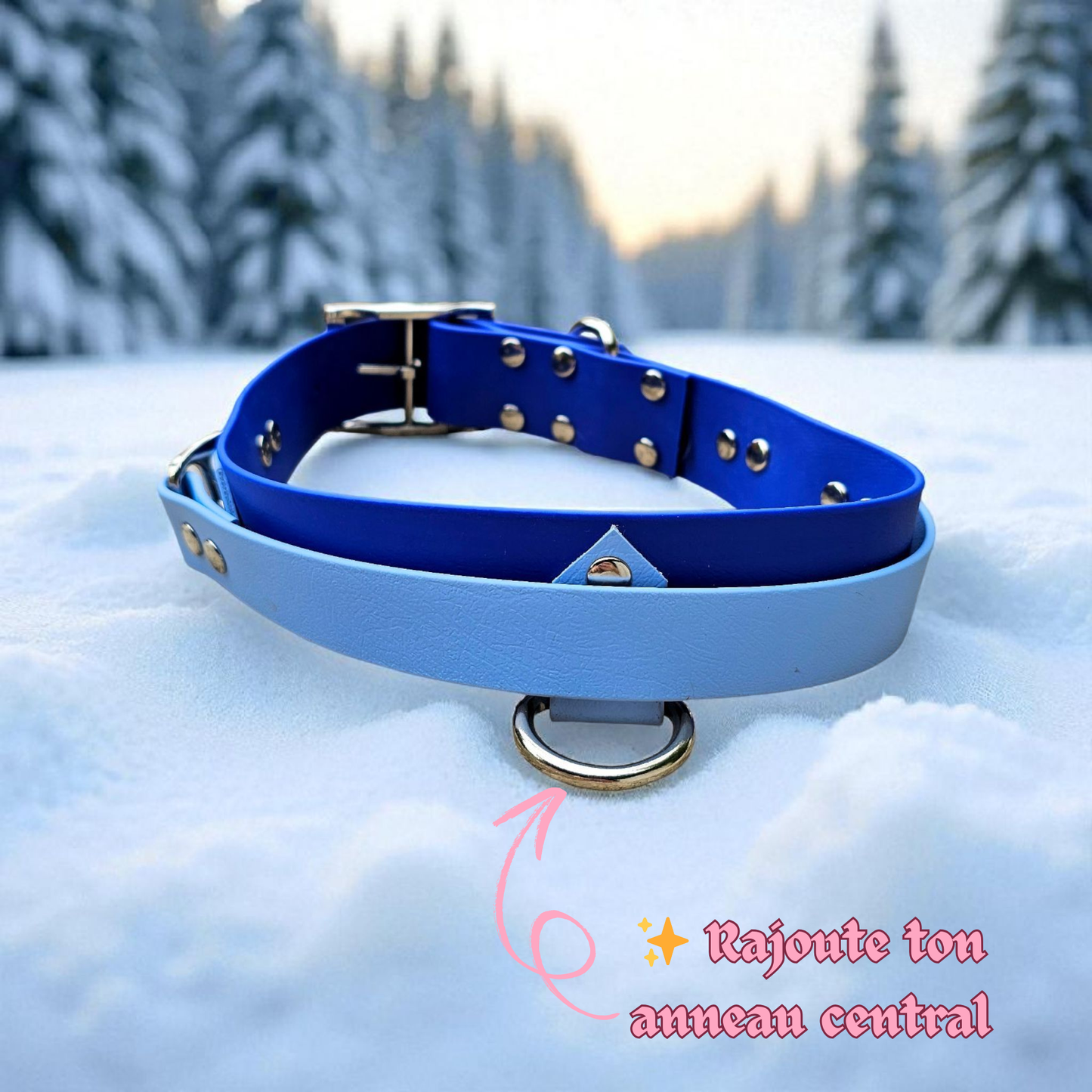 đŠŸAlpha Grip - Colliers avec poignĂ©e rĂ©tractableđș