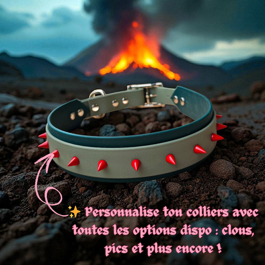 ⚡ Hard Rebel 🔥 – Colliers à clous bi-largeur