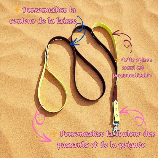 🐾Side by Side – Laisse 1m20 / 1m50 🌆