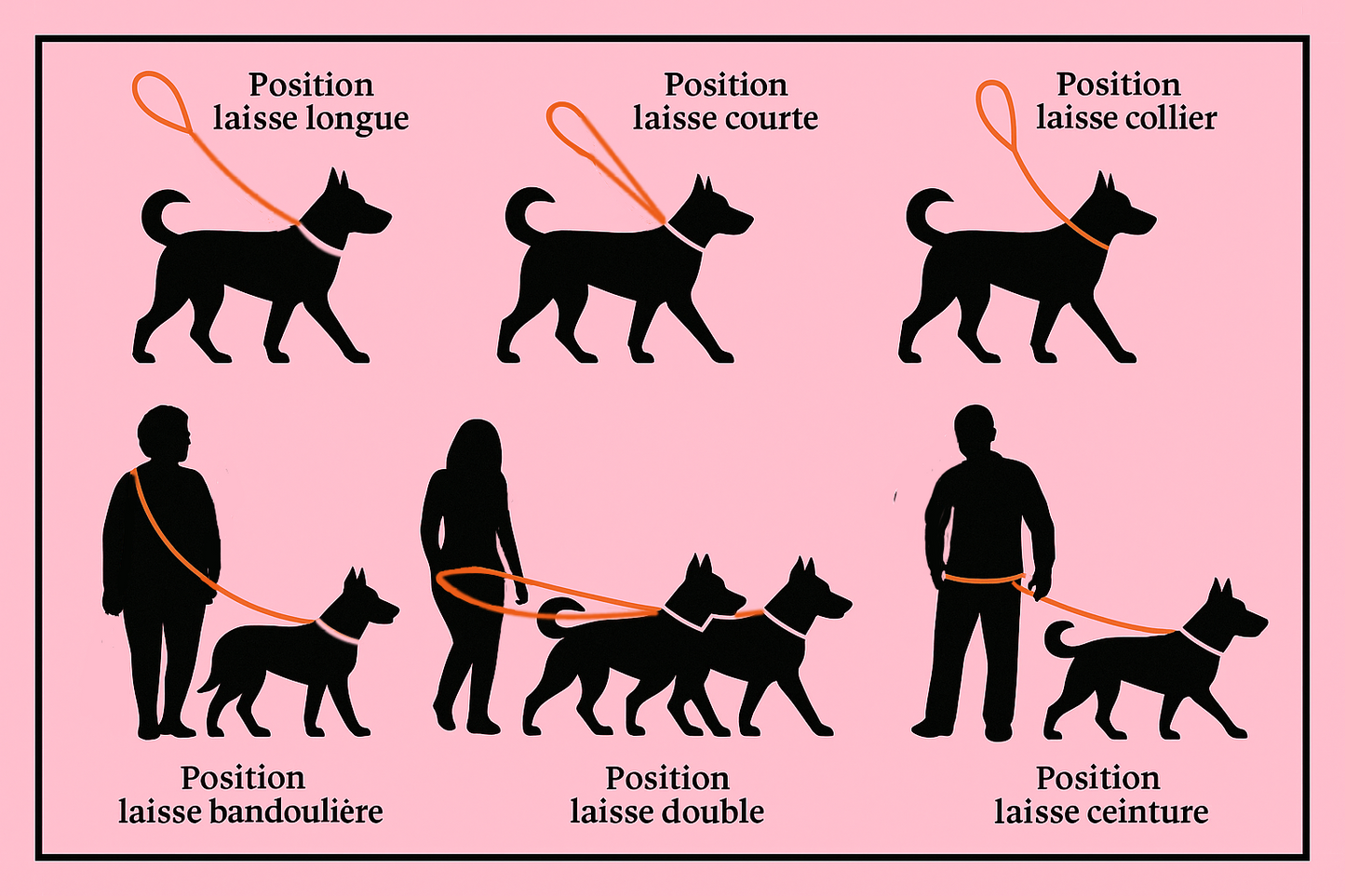 đ Flexi Line â longe multi-positions đ
