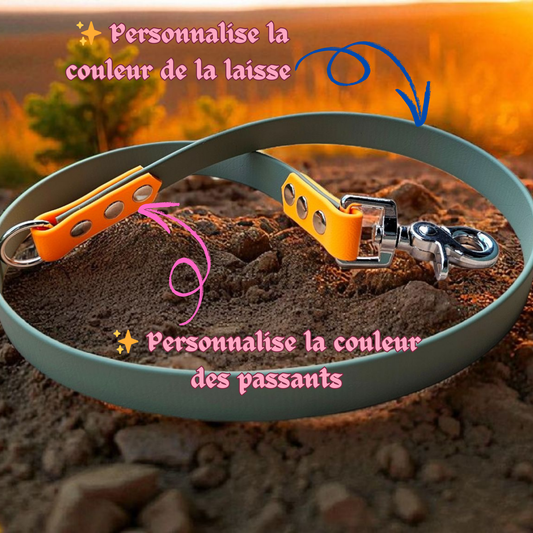 🐾 Switch’Gang – Laisse compatible avec poignée modulable 🎨