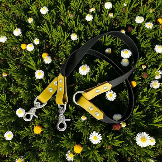 🐾 Twin’s Walk – Doubleur de laisse ✨