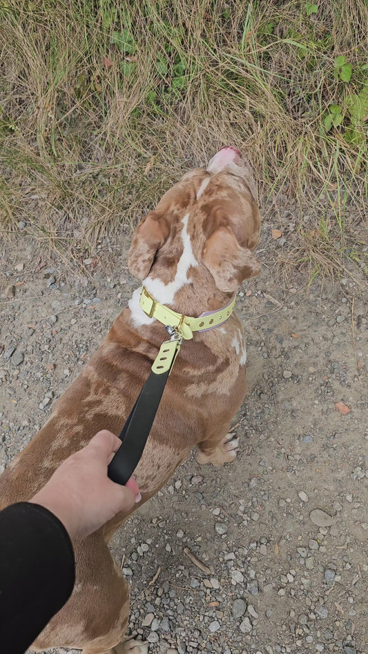 ✊ Grip’Me – Poignée Modulable 🐾