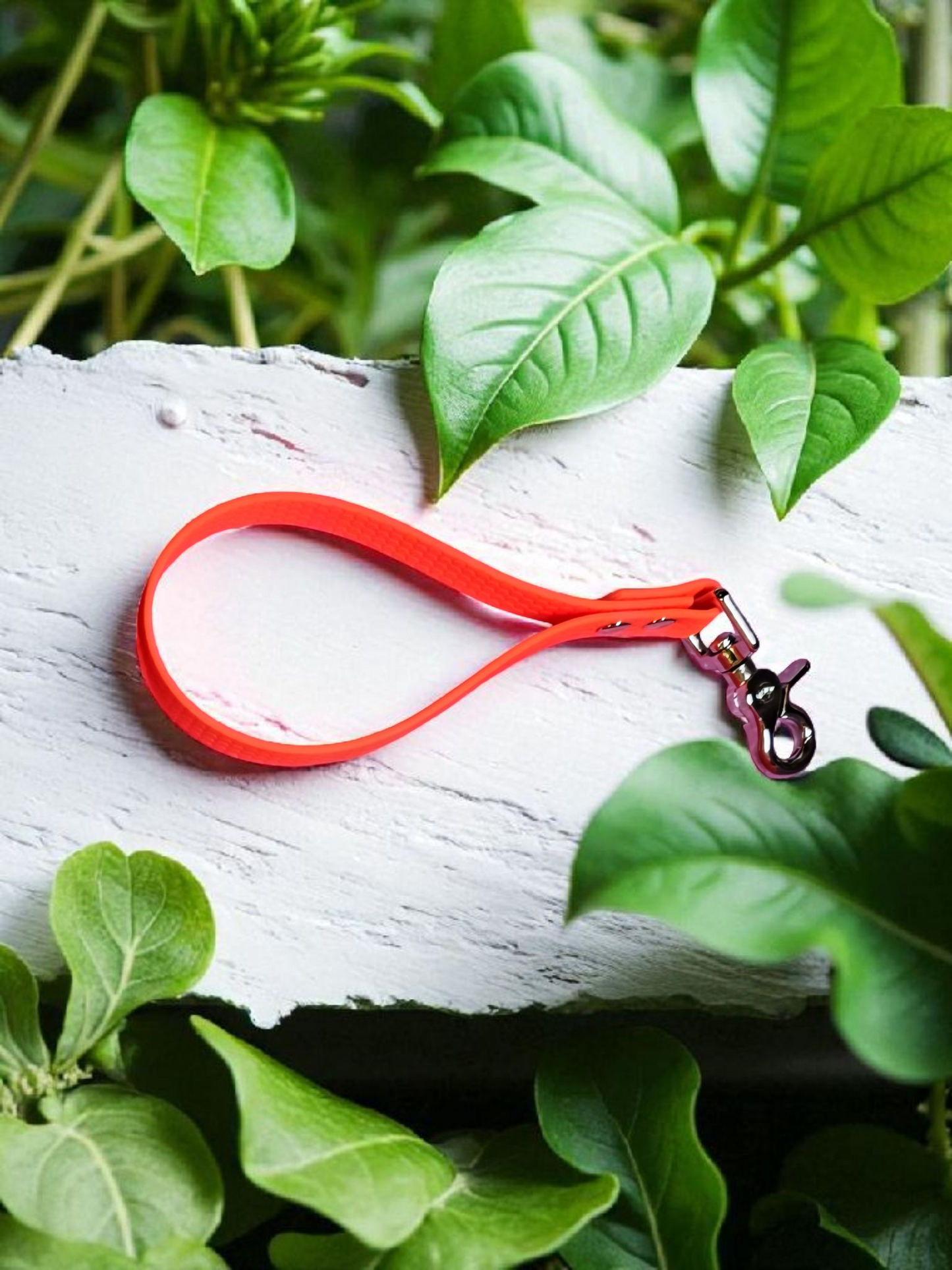 ✊ Grip’Me – Poignée en Hexa 🐾