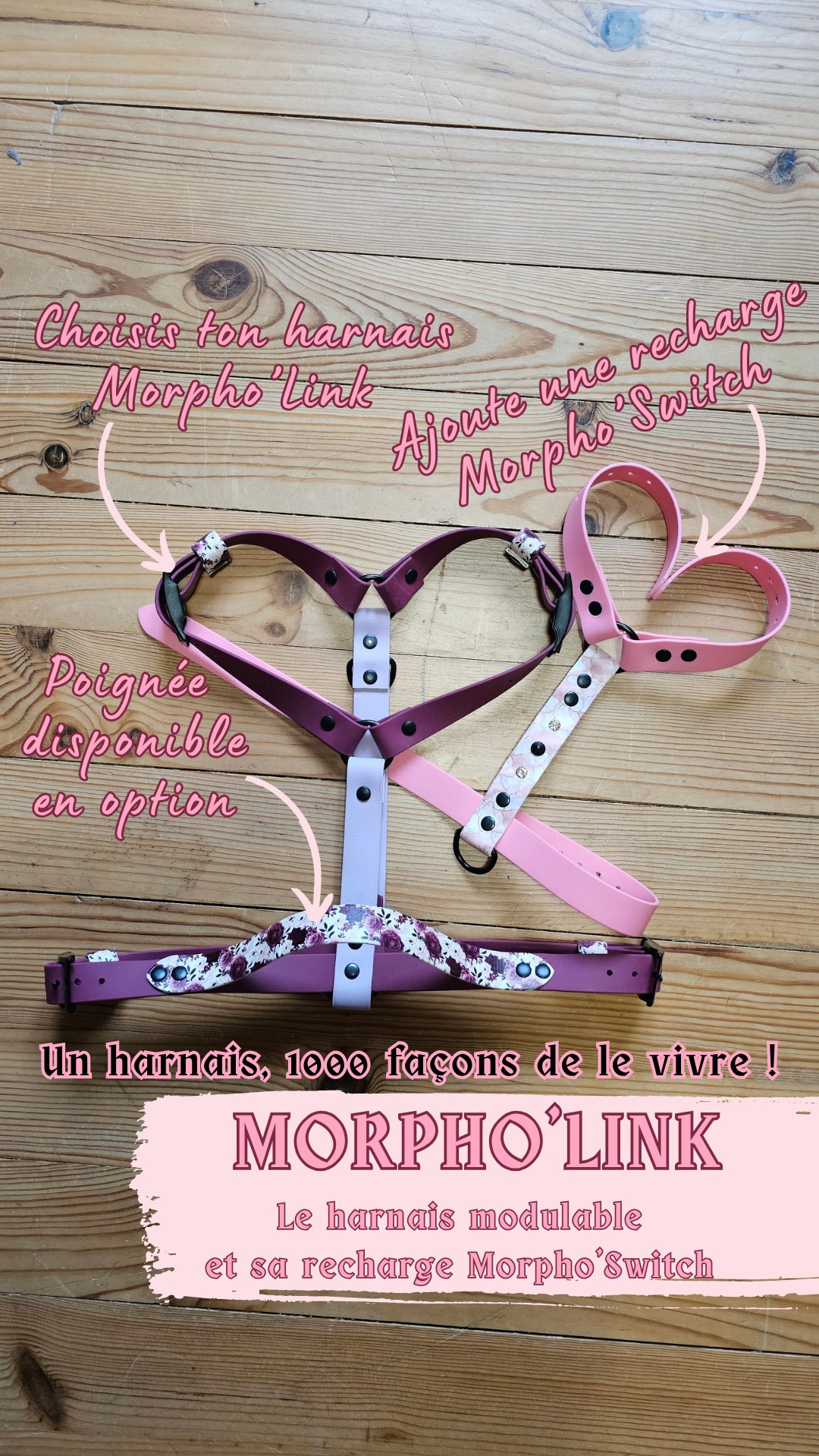 𩮠MorphoâLink â Harnais modulable đș