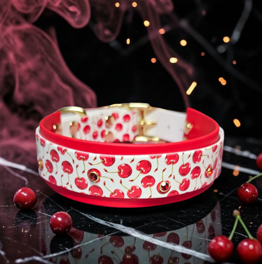 🍒 My Cherry ✨️