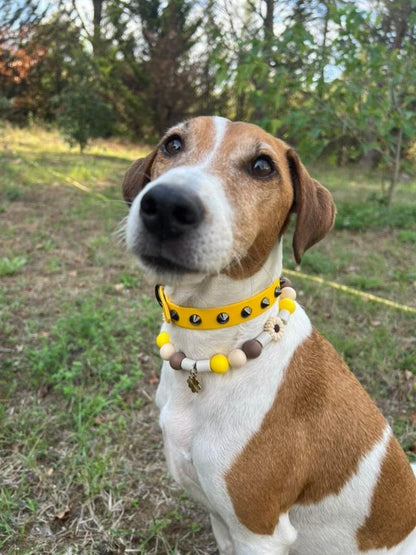 💗 Soft Rebel ✨ – Colliers à clous simple largeur