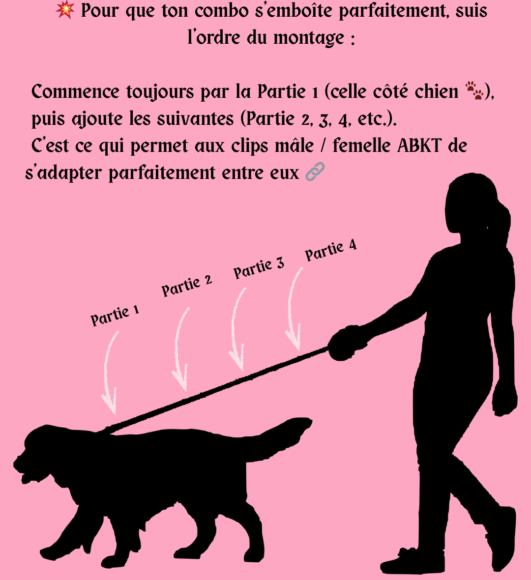 🔊 Gang'Voice – Rallonge de laisse modulable 💥