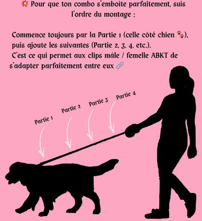 🔊 Gang'Voice – Rallonge de laisse modulable 💥