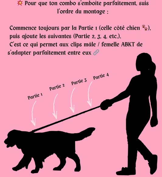 🔊 Gang'Voice – Rallonge de laisse modulable 💥