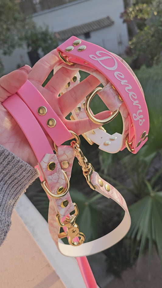 🦾Alpha Grip - Colliers avec poignée rétractable🐺