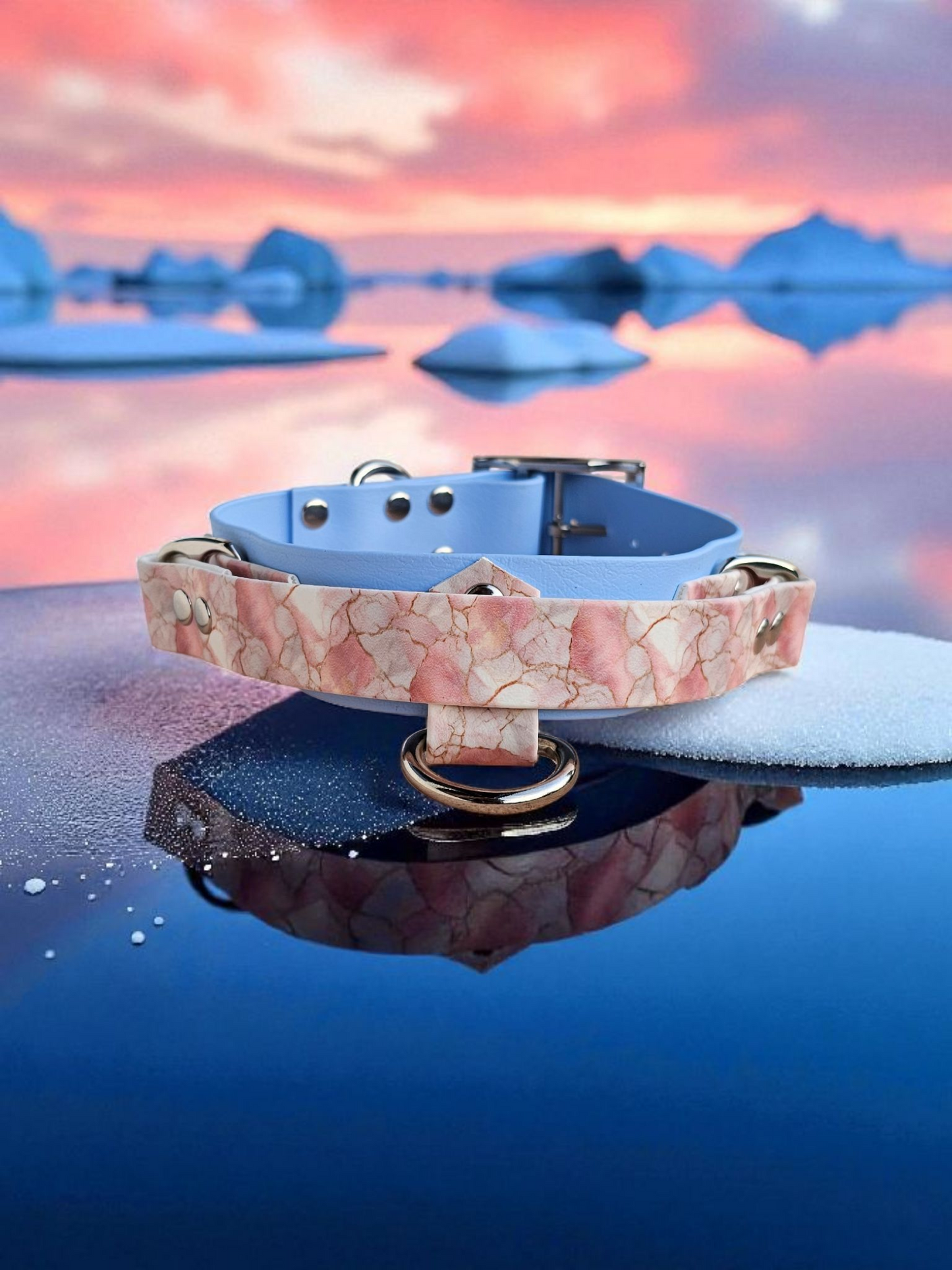 🦾Alpha Grip - Colliers avec poignée rétractable🐺