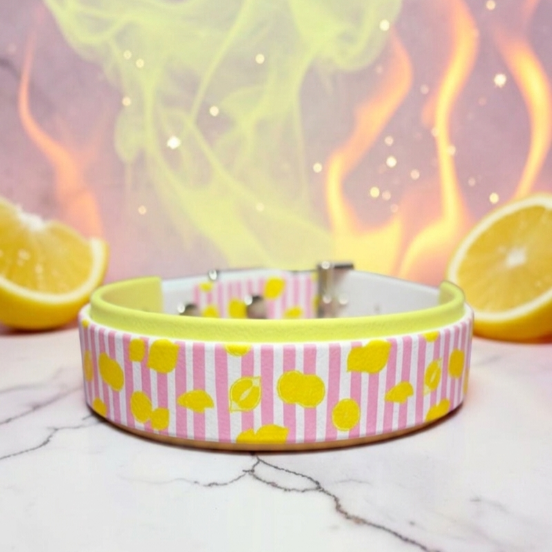 🍋 My Lemon ✨️