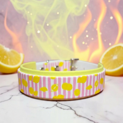 🍋 My Lemon ✨️