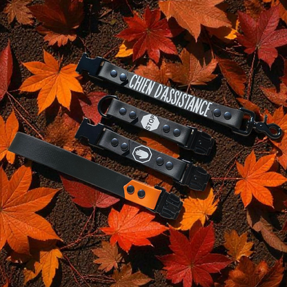 🔊 Gang’Voice – Les Recharges ⚡