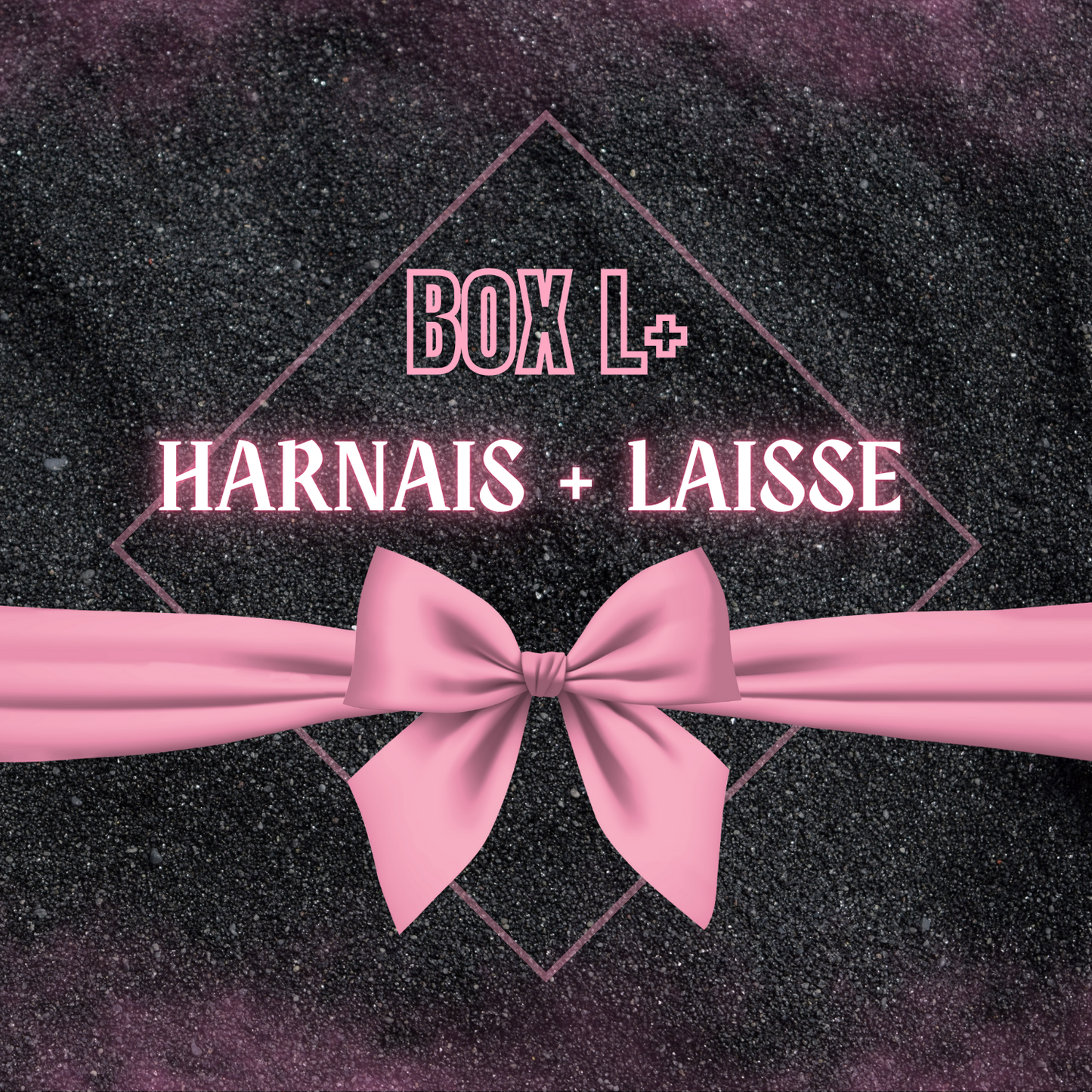 🎁 Box L+ ✨