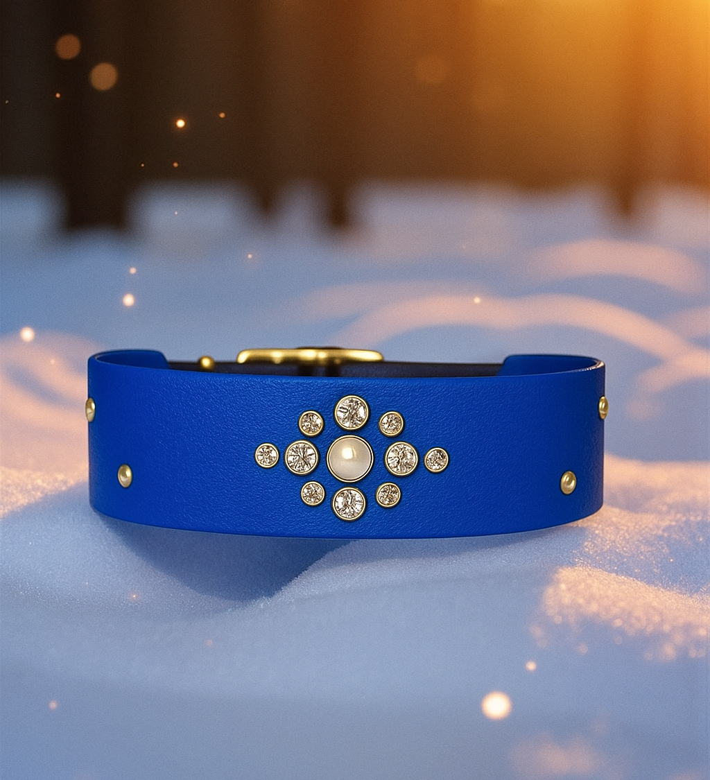 👑 Jewelry Crown ✨️