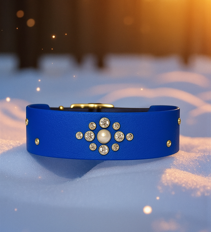 👑 Jewelry Crown ✨️