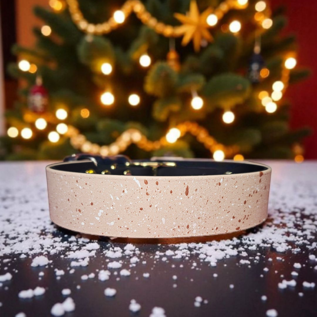 🌌 Éclat d’Étoiles✨