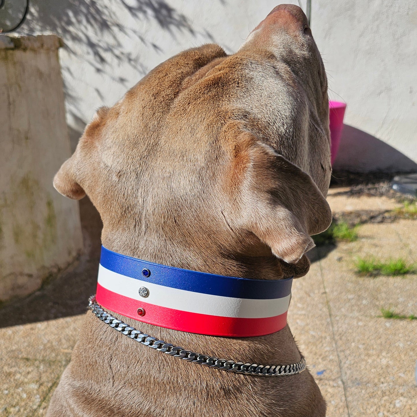 🇲🇫 Le Frenchy 🥰