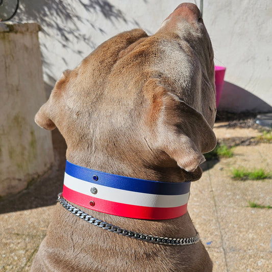 🇲🇫 Le Frenchy 🥰