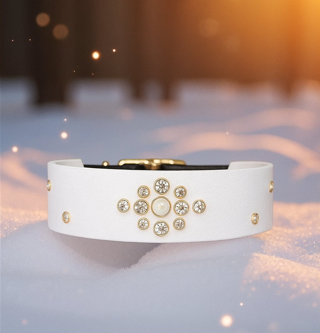 👑 Jewelry Crown ✨️