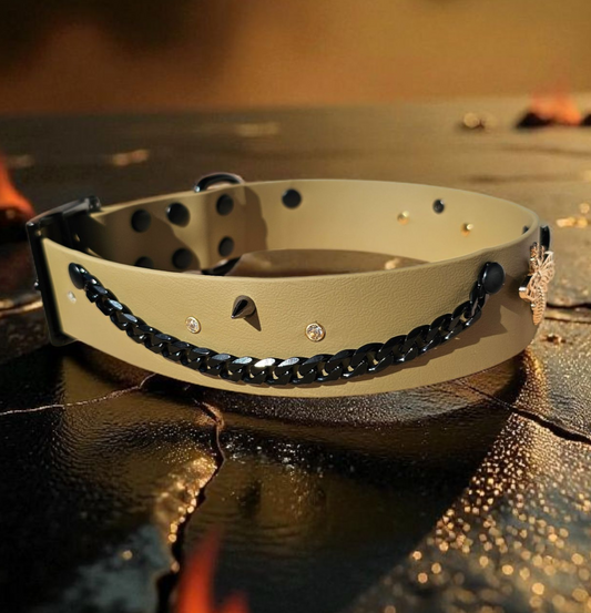 🐝 Bee'War ⚔️ - Édition Signature 💎