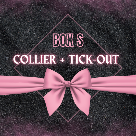 🎁 Box S ✨