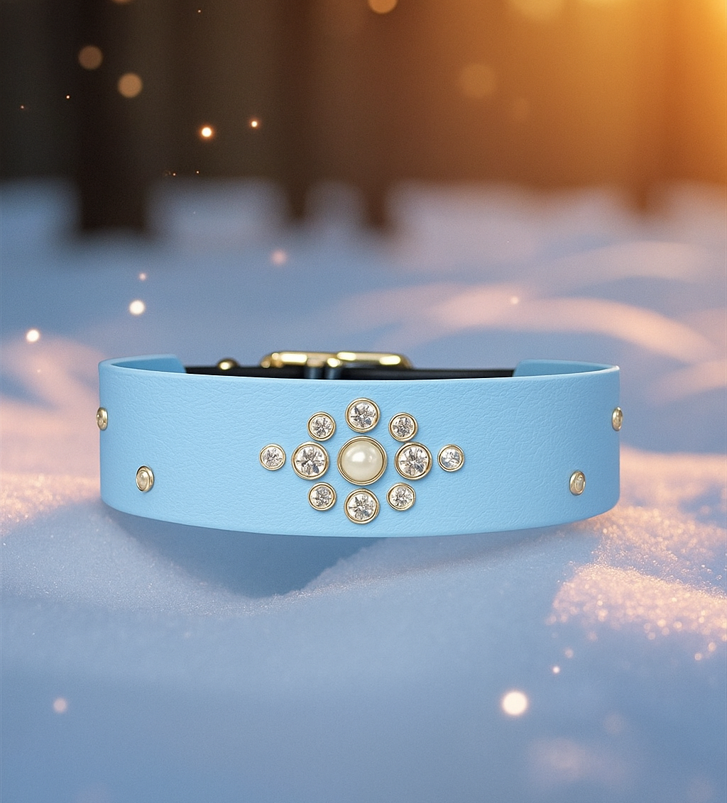 👑 Jewelry Crown ✨️