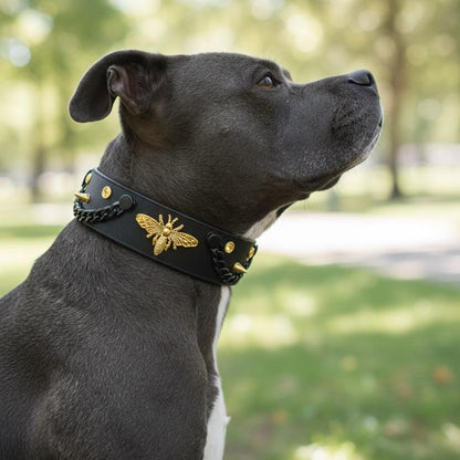 🐝 Bee'War ⚔️ - Édition Signature 💎