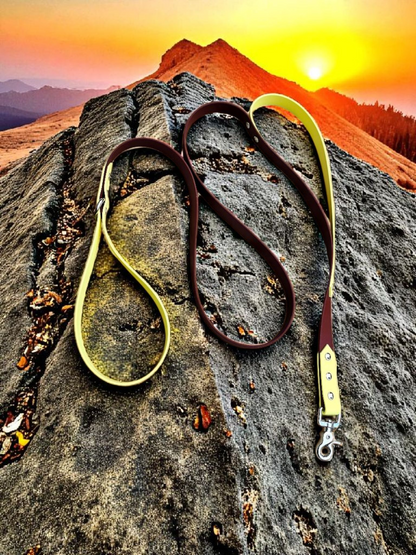 🌿Laisse’n’Go – Laisse 1m80 / 2m50✨