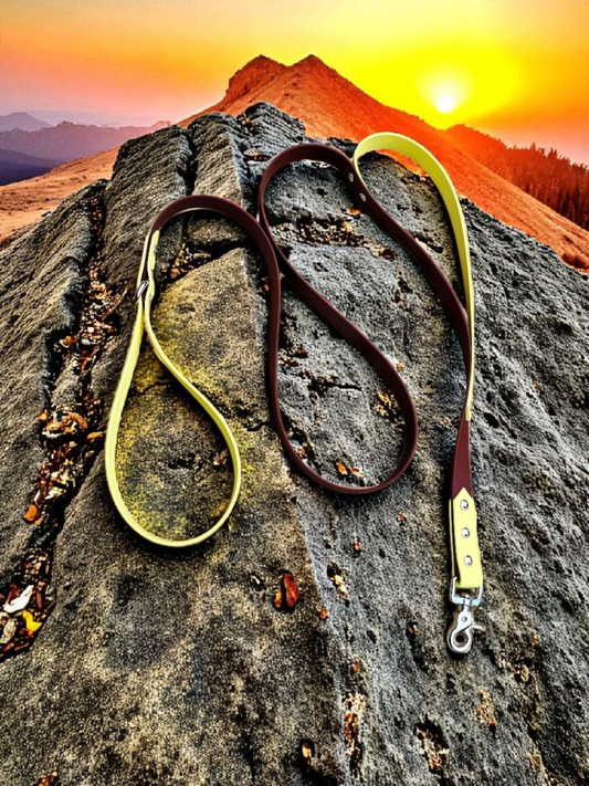 🌿Laisse’n’Go – Laisse 1m80 / 2m50✨