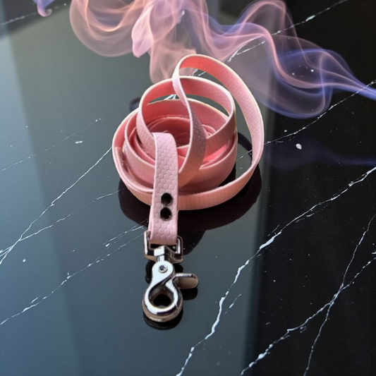 🌍 Flexi Line – longe multi-positions 🐕