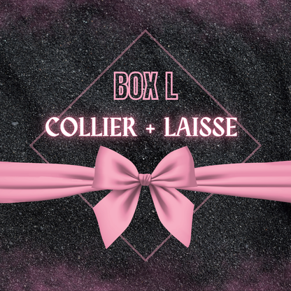 🎁 Box L ✨