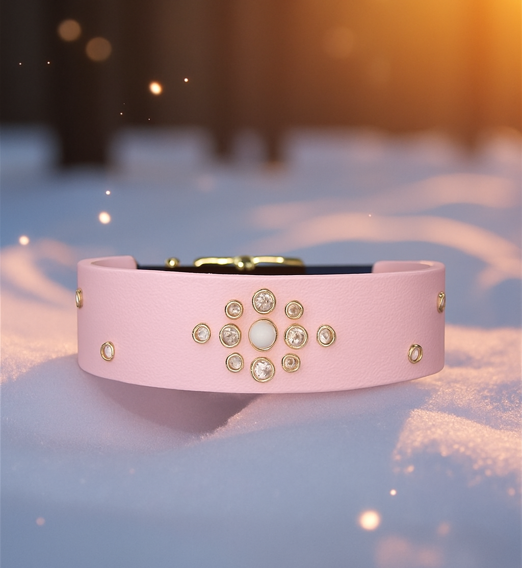 👑 Jewelry Crown ✨️