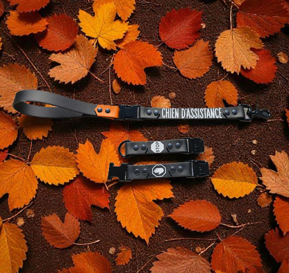 🔊 Gang’Voice – Les Recharges ⚡