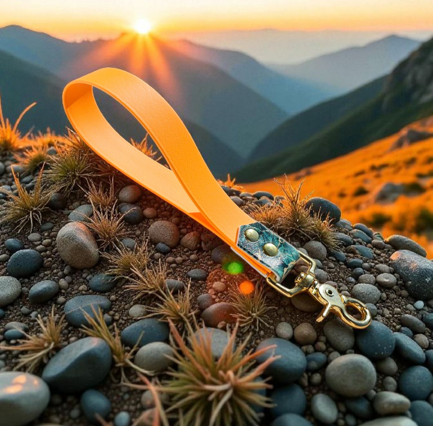 ✊ Grip’Me – Poignée Modulable 🐾