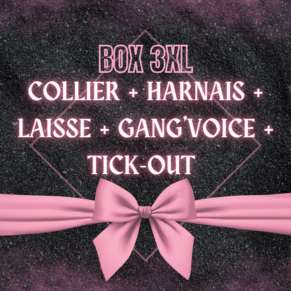 🎁 Box 3XL ✨