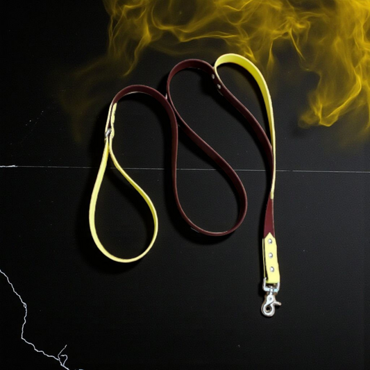 🐾Side by Side – Laisse 1m20 / 1m50 🌆